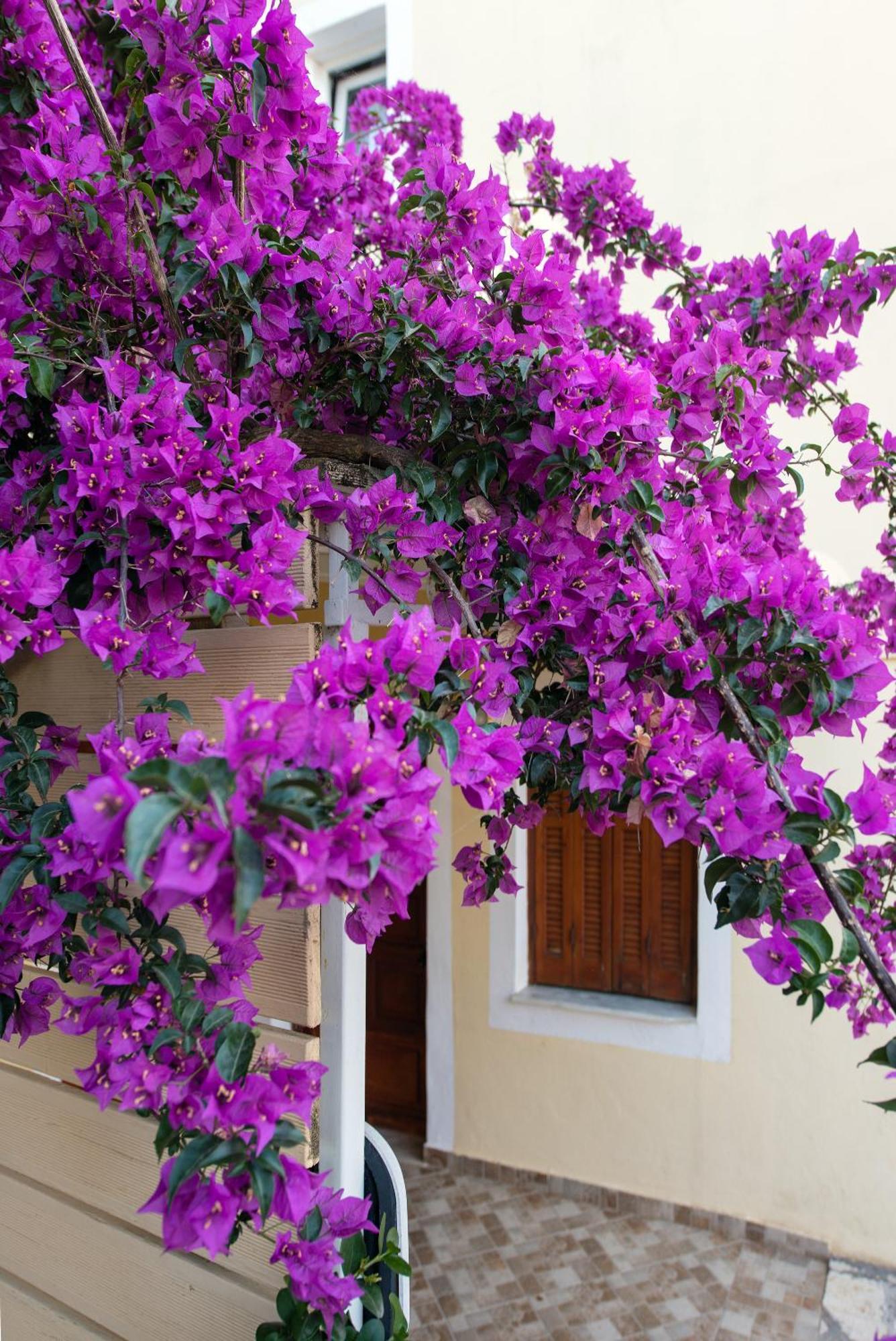 Hill Lofos Hotel Kassiopi Exterior foto