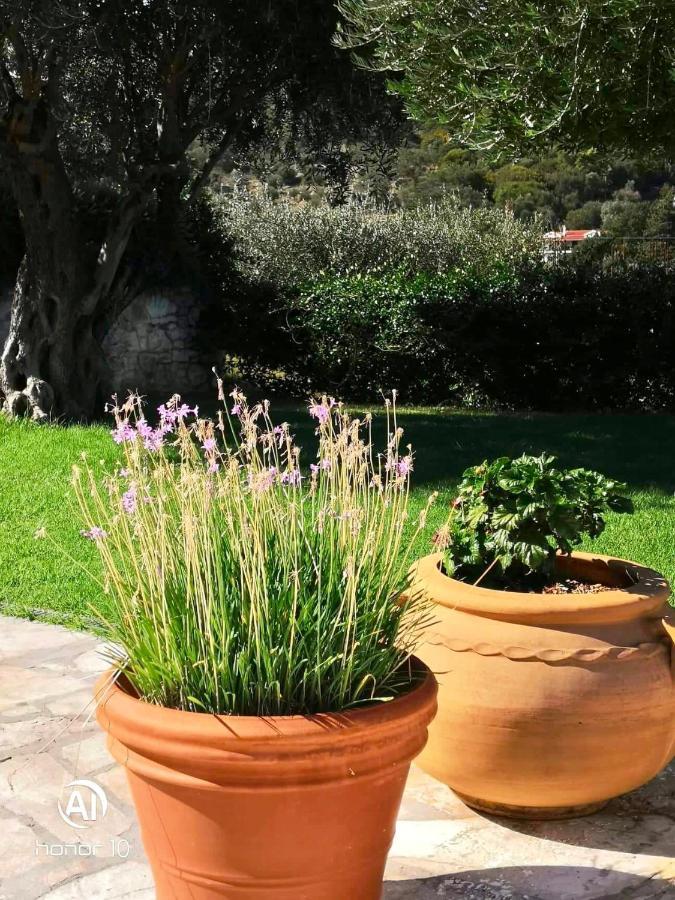 Hill Lofos Hotel Kassiopi Exterior foto